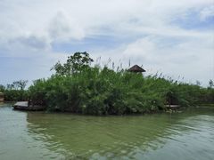 -泗洪洪泽湖湿地景区