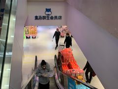 -盒马鲜生(大成店)