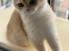-联合动物医院(光谷诊疗中心)