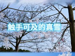 -盈香心动乐园