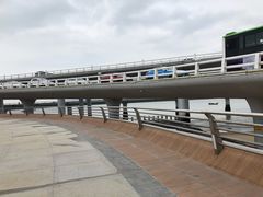 -演武大桥观景平台