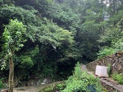 -途中饭店(开化店)