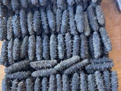 -宫品海参专卖店(静安大宁店)