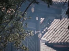 -成都市文殊院