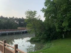 -艾溪湖湿地公园