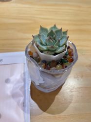 点击看大图 -贝瑞佳月子会所(杭州旗舰店)