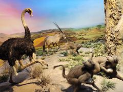 -国家自然博物馆