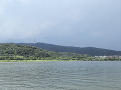 -橘洲1910花园江景西餐厅