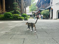 -香积寺