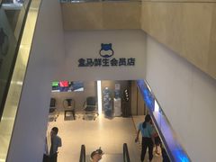 -盒马鲜生(大成店)
