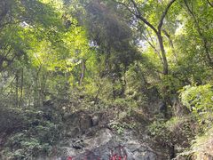-杭州灵山景区