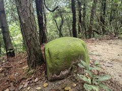-长沙黑麋峰国家森林公园