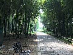 -同里国家湿地公园