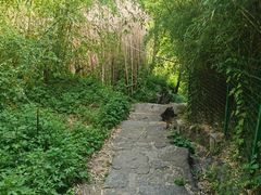 -崂山九水游览区