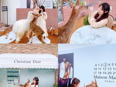 -Blue Concept Cafe&Farm·關於藍