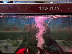 -阿拉丁新疆风味餐厅·清真(罗廊巷店)