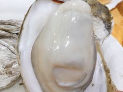 生蚝-蚝专家(北滘店)