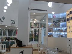 -李小姐の猫咖啡馆(五角场店)