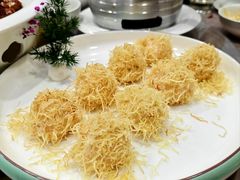 -丁老爷子苏香圆