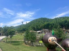 -东明山森林公园