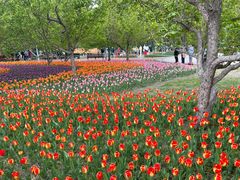 -长春公园(普阳街道)