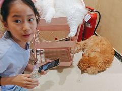 -藏猫猫咖啡主题馆(中央大道店)