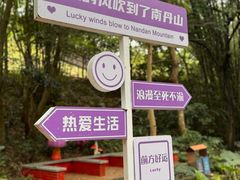 -南丹山森林王国