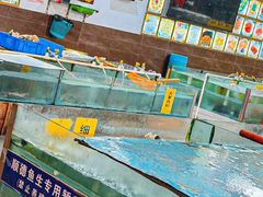 -寻味顺德·南记酒家·传统顺德菜·鱼生(广源路店)