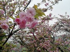 -石峰公园