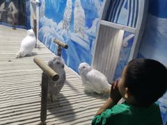 -成都浩海立方海洋公园