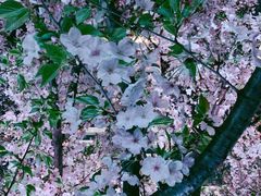 -新天地活力PARK