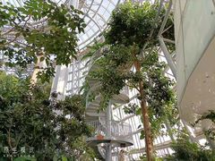 -郑州植物园