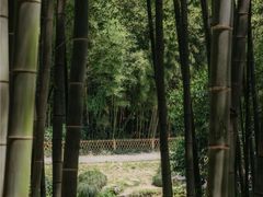 -杭州植物园