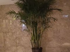 -水木谷养生水汇