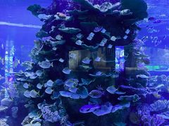 -左海海底世界