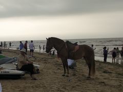 -碣石国家级海洋公园