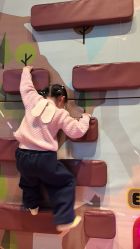 -卡通尼·Safari非洲探索乐园·生日会(金桥国际商业广场店)