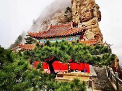 -大芦花风景区