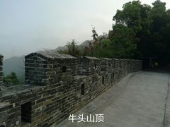 -天鹿湖森林公园