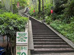 -龙井村