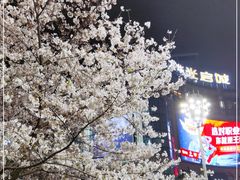 -光启城时尚购物中心