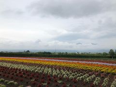 -富田农场