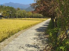 -塔川景区