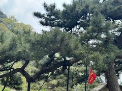 -泰山风景名胜区