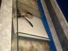 -火锅岛潮牌自助餐厅(天津天佑城店)