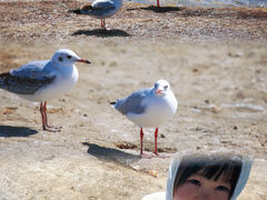 -西台吉乃尔湖