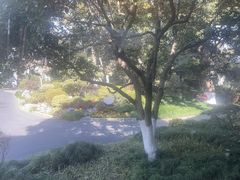 -浙江西子宾馆·瑶园咖啡厅