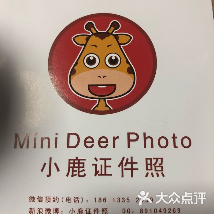 小鹿证件照