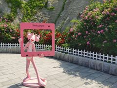 -金龙寺国家森林公园