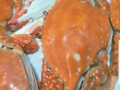 -四海鲜渔家菜(黄金海岸店)
